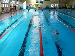 Półfinał Woj ID pływanie (4)